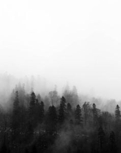 black-and-white-fog